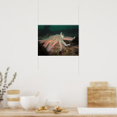Zonnebloem Zee Star - Fine Art Print (Keuken)