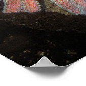 Zonnebloem Zee Star - Fine Art Print (Hoek)