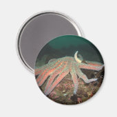 Zonnebloem Zee Star - Magnet (Voorkant / Achterkant)