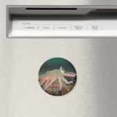 Zonnebloem Zee Star - Magnet (Insitu (Vaatwasser))