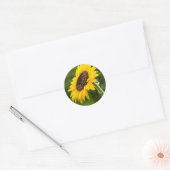 Zonnebloem zijschot ronde sticker (Envelop)