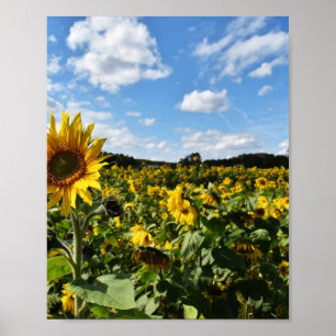 Zonnebloem Zomer, Virginia Poster