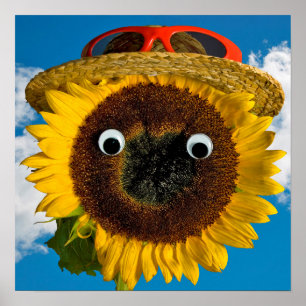 Zonnebloem Zomerpret Poster