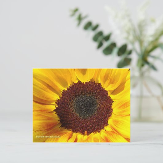 Zonnebloem Zon - Briefkaart (Staand voorkant)