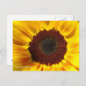 Zonnebloem Zon - Briefkaart (Voorkant / Achterkant)