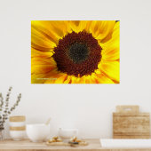 Zonnebloem zon poster (Keuken)
