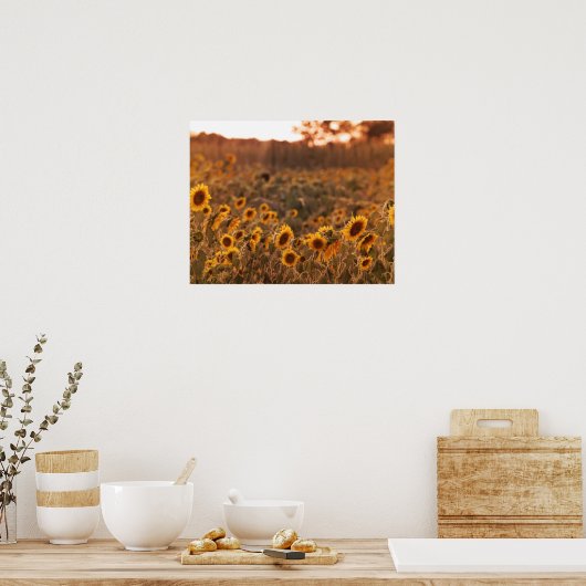 Zonnebloem Zonnebloem in een Plattelandsvelkleur 1 Poster (Keuken)