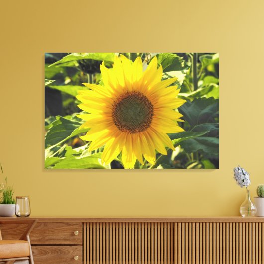 Zonnebloem - Zonnebloem - Zonnevelschildertekening Canvas Afdruk (Insitu (Woonkamer))