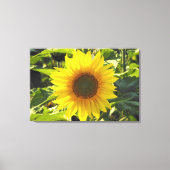 Zonnebloem - Zonnebloem - Zonnevelschildertekening Canvas Afdruk (Voorkant)