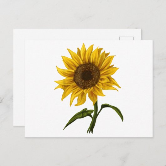 Zonnebloem Zonnebloemen Waterverf Bloem Feestdagenkaart (Voorkant / Achterkant)