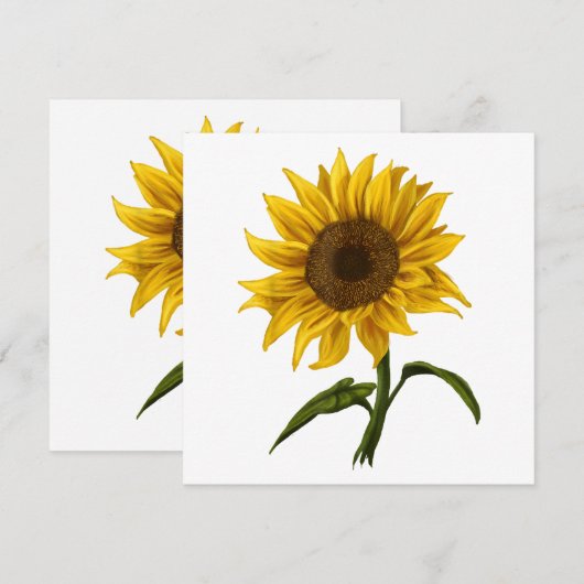 Zonnebloem Zonnebloemen Waterverf Bloem Kaart (Voorkant / Achterkant)