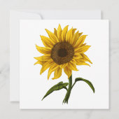 Zonnebloem Zonnebloemen Waterverf Bloem Kaart (Achterkant)