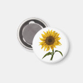 Zonnebloem Zonnebloemen Waterverf Bloem Magneet (Voorkant / Achterkant)