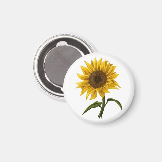 Zonnebloem Zonnebloemen Waterverf Bloem Magneet (Voorkant / Achterkant)