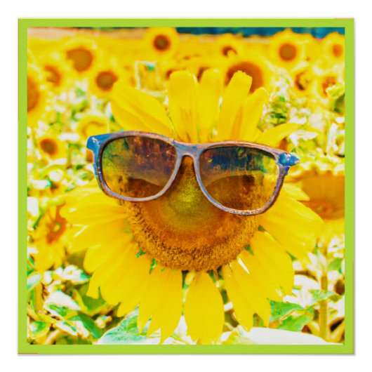 Zonnebloem Zonneschermen Chic Perfect Poster (Voorkant)