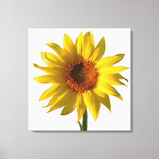 Zonnebloem Zonneschijn Canvas Afdruk (Voorkant)