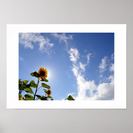 Zonnebloem & Zonneschijn Poster (Voorkant)