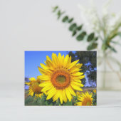 Zonnebloem, zonnesgele zonnebloem briefkaart (Staand voorkant)