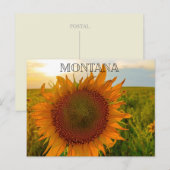 Zonnebloem Zonsondergang Briefkaart (Voorkant / Achterkant)