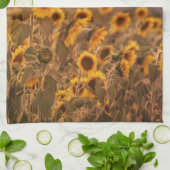 Zonnebloem Zonsondergang in een landelijke veldkle Theedoek (Gevouwen)