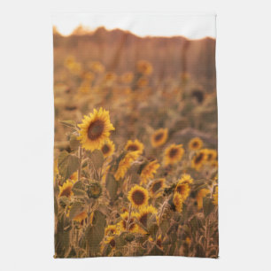 Zonnebloem Zonsondergang in een landelijke veldkle Theedoek