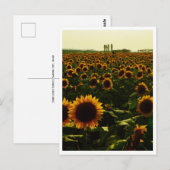 Zonnebloem Zonsondergang, Sakura City, Japan Briefkaart (Voorkant / Achterkant)