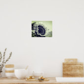 Zonnebloem, zwart en wit, dicht bij elkaar poster (Keuken)