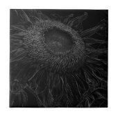 Zonnebloem zwart en wit, modern design tegeltje (Voorkant)