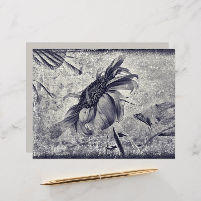 Zonnebloem  zwart en witte Antiek textuur (Voorkant / Achterkant in situ)