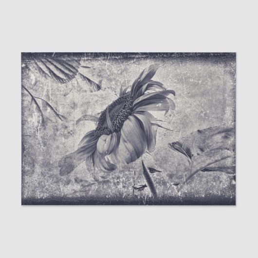 Zonnebloem  zwart en witte Antiek textuur Tissuepapier (Voorkant)