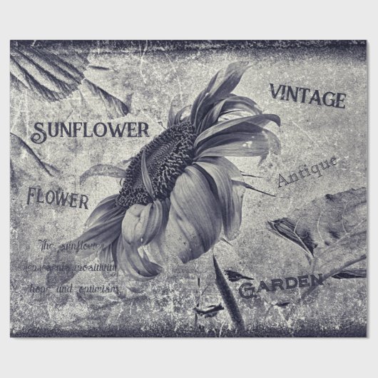 Zonnebloem  zwart en witte ephemera textuur cadeaupapier (Vlak)