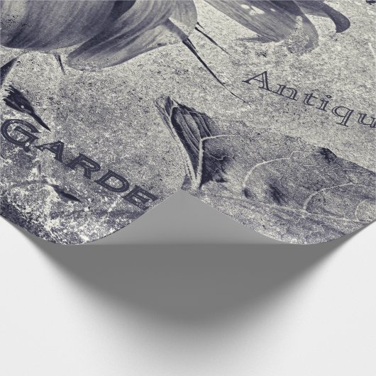 Zonnebloem  zwart en witte ephemera textuur cadeaupapier (Hoek)