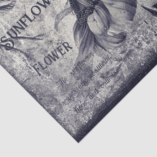 Zonnebloem zwart en witte ephemera textuur tissuepapier (Detail)