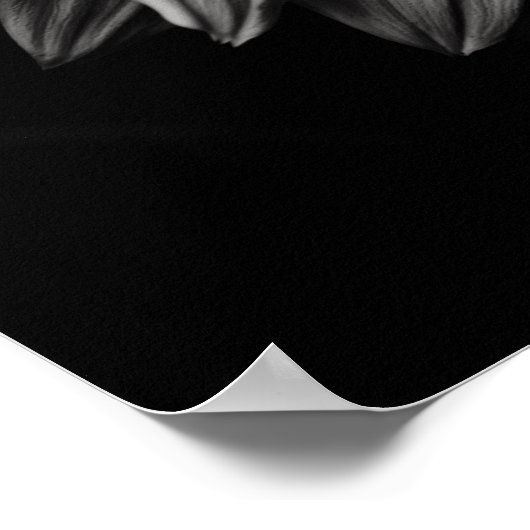 Zonnebloem Zwart-wit Poster (Hoek)