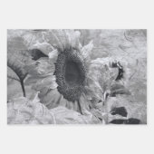 Zonnebloem Zwarte en witte  landbloemen Inpakpapier Vel (Voorkant 3)