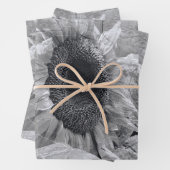 Zonnebloem Zwarte en witte  landbloemen Inpakpapier Vel (In situ)