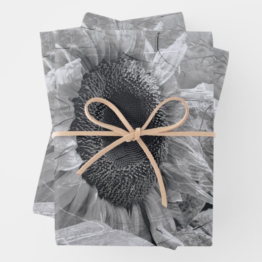 Zonnebloem Zwarte en witte  landbloemen Inpakpapier Vel (In situ)