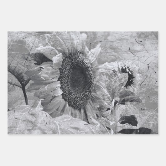 Zonnebloem Zwarte en witte  landbloemen Inpakpapier Vel (Voorkant)