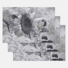Zonnebloem Zwarte en witte  landbloemen Inpakpapier Vel