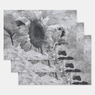 Zonnebloem Zwarte en witte  landbloemen Inpakpapier Vel