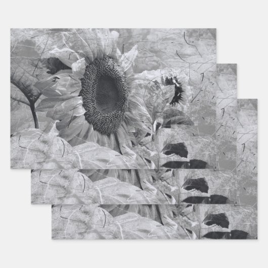 Zonnebloem Zwarte en witte  landbloemen Inpakpapier Vel (Set)