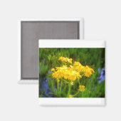 Zonnebloembloem Magnet (Voorkant / Achterkant)