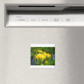Zonnebloembloem Magnet (Insitu (Vaatwasser))
