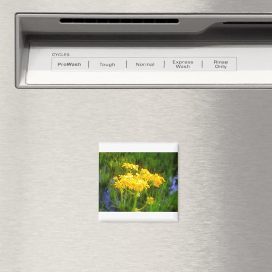 Zonnebloembloem Magnet (Insitu (Vaatwasser))