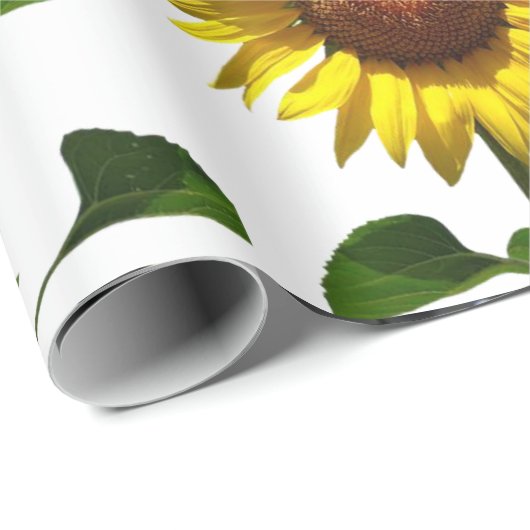 Zonnebloemboekjes met matte pakken papier (Rol Hoek)