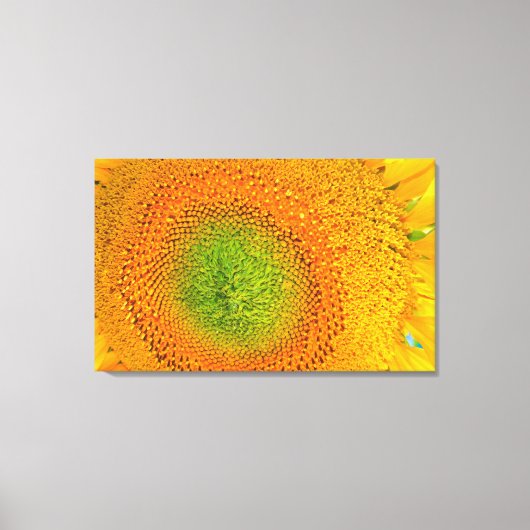 Zonnebloemcanvas Canvas Afdruk (Voorkant)