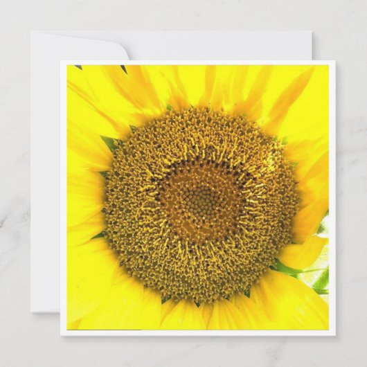 Zonnebloemcentrum (Voorkant)