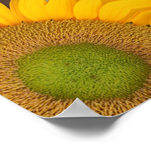 Zonnebloemcentrum omhoog Sluiten Abstract Poster (Hoek)