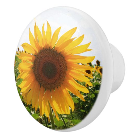 Zonnebloemdrager Keramische Knop (Rechts)