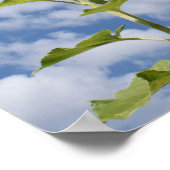 Zonnebloemdruk Poster (Hoek)